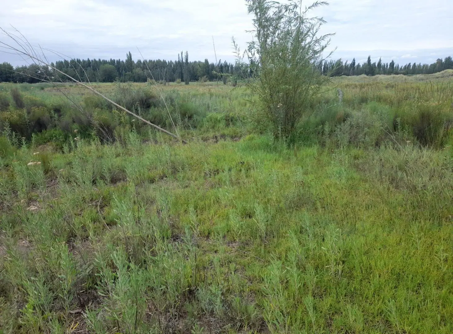 Lote en Venta de 700 m2 en Rodeo del Medio, Maipú 5