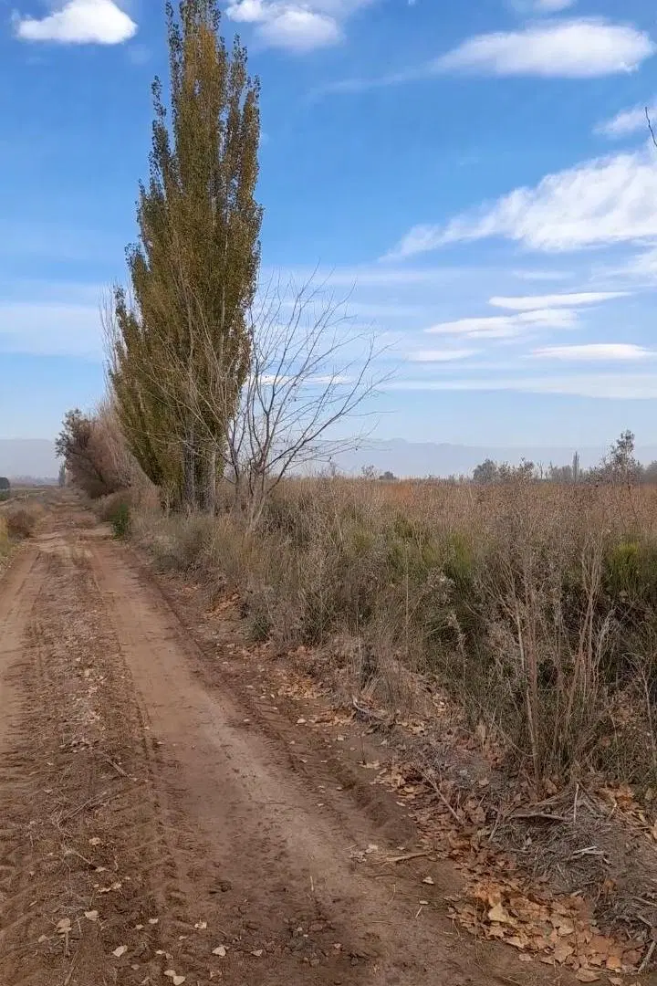 Lote en Venta de 700 m2 en Rodeo del Medio, Maipú 2