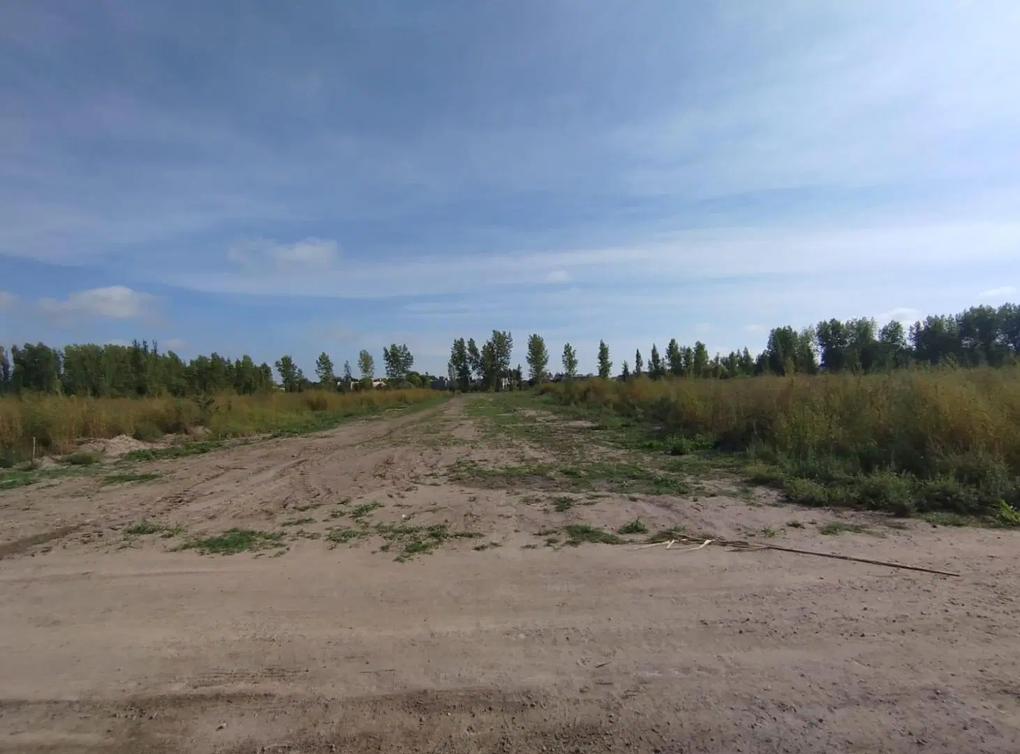 Lotes en Venta de 240 m2 en Centro, Tunuyán 4