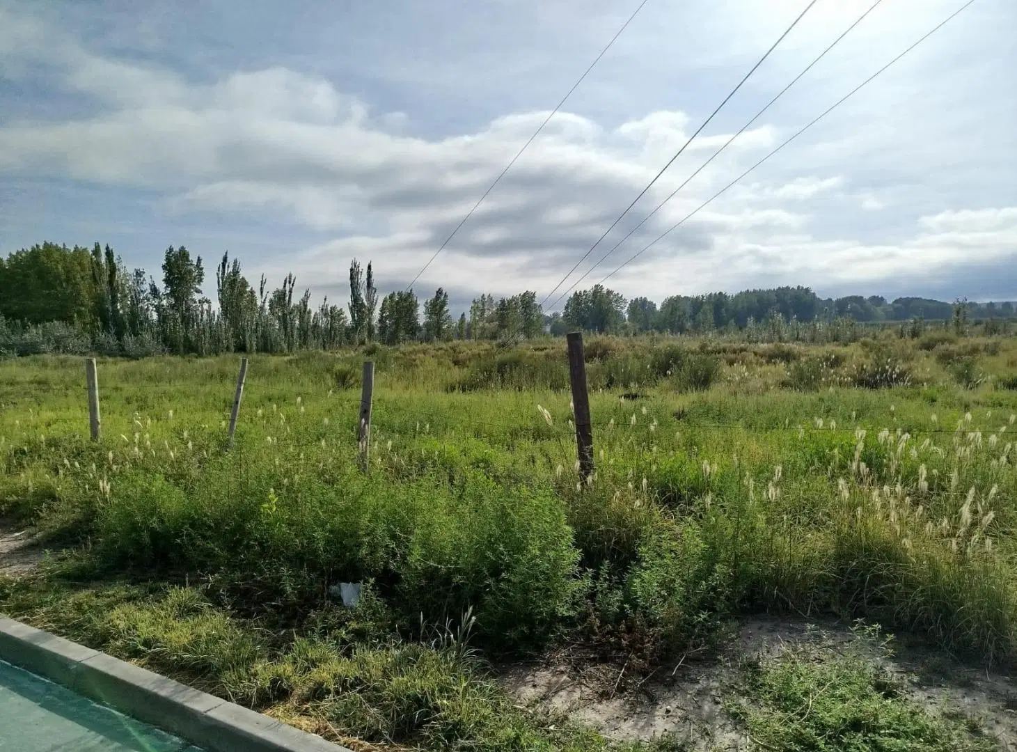 Lotes en Venta de 240 m2 en Centro, Tunuyán 3