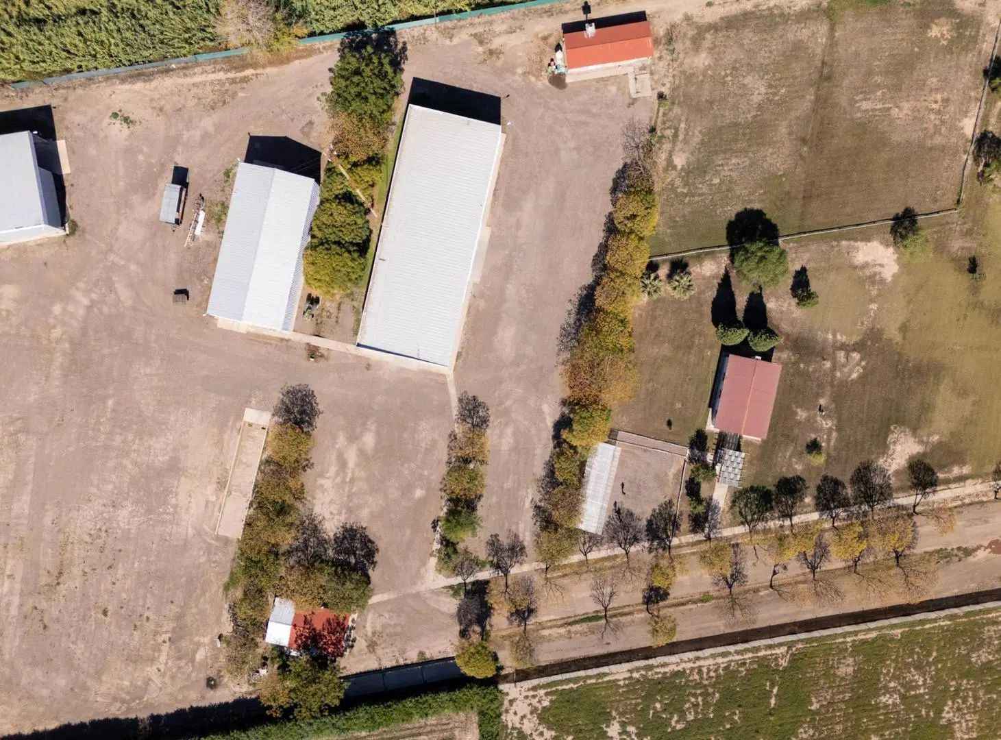 Planta Empaquetadora de Ajo Operativa con Frigoríficos | Mendoza 4