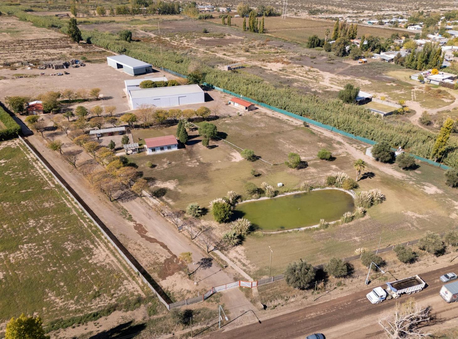 Planta Empaquetadora de Ajo Operativa con Frigoríficos | Mendoza