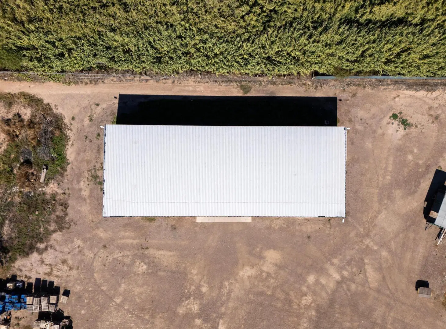 Planta Empaquetadora de Ajo Operativa con Frigoríficos | Mendoza 5
