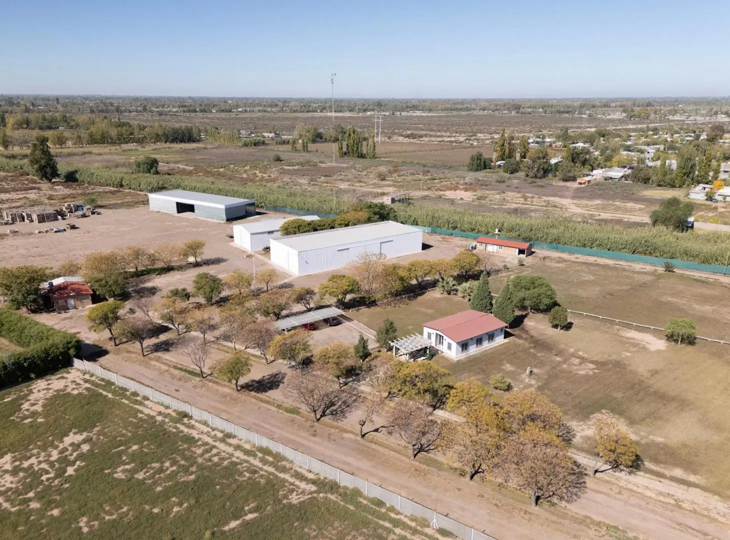 Planta Empaquetadora de Ajo Operativa con Frigoríficos | Mendoza 3