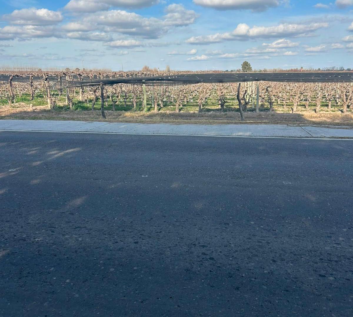 Foto de Terreno en venta para desarrollo inmobiliario en Junín Mendoza, imagen 3