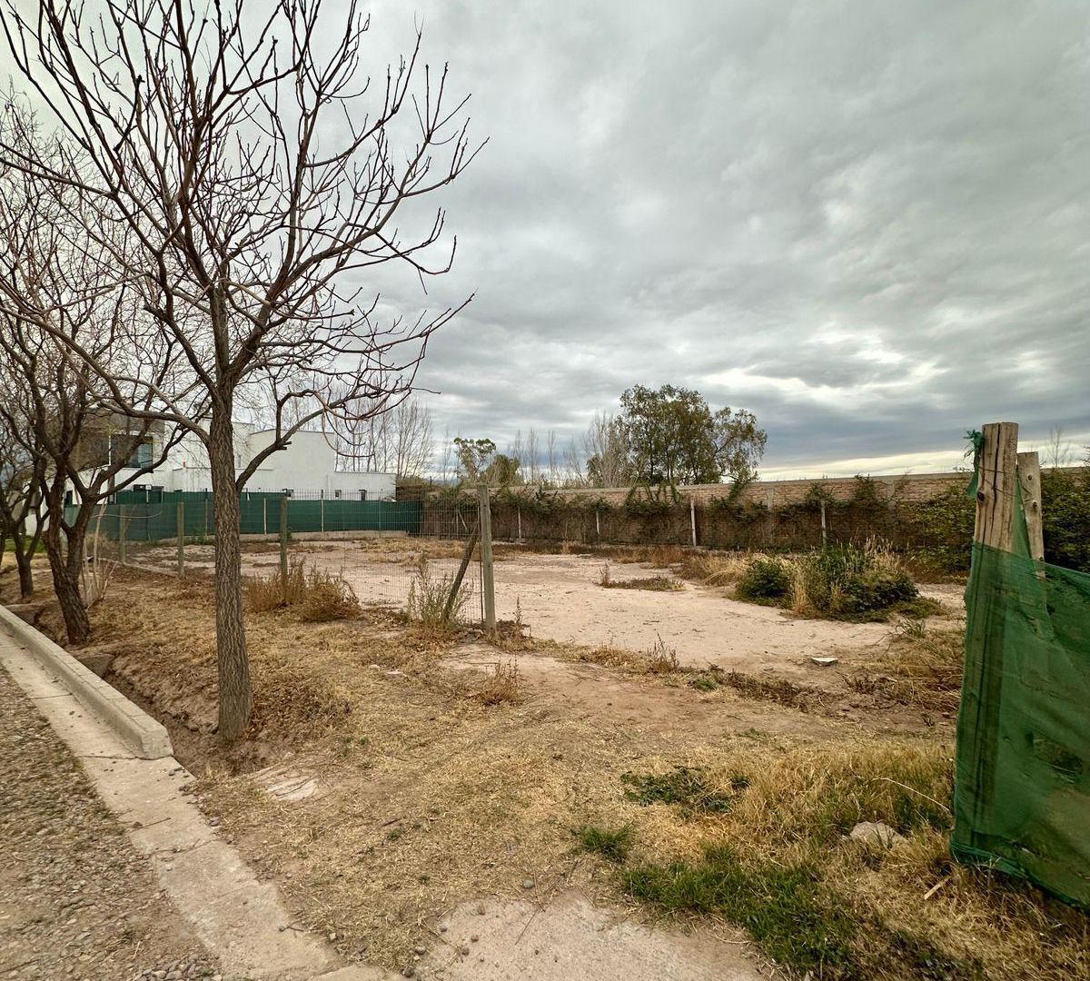 Foto de Lote en Venta 568 m2 Barrio Privado Alto los Olivos, Guaymallén, imagen 1