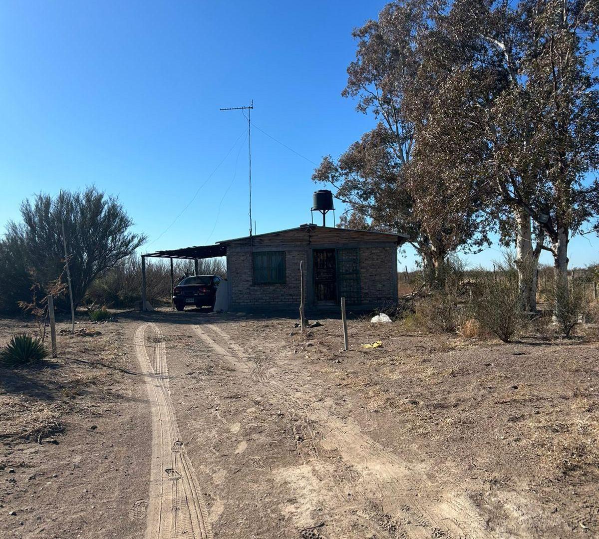 Foto de Campo en venta en Santa Rosa Mendoza, Las Catitas, imagen 2