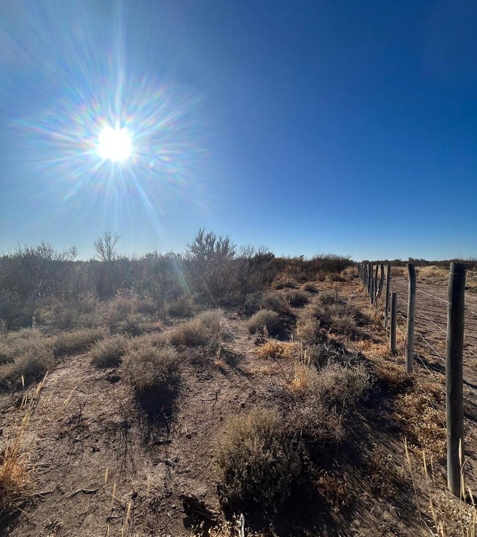 Foto de Campo en venta en Santa Rosa Mendoza, Las Catitas, imagen 4