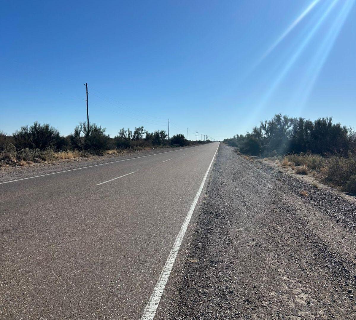 Foto de Campo en venta en Santa Rosa Mendoza, Las Catitas, imagen 5
