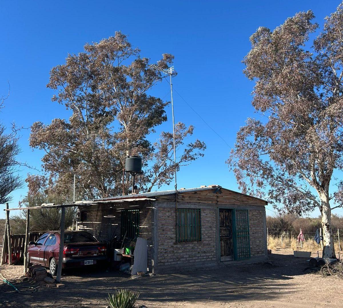 Foto de Campo en venta en Santa Rosa Mendoza, Las Catitas, imagen 1