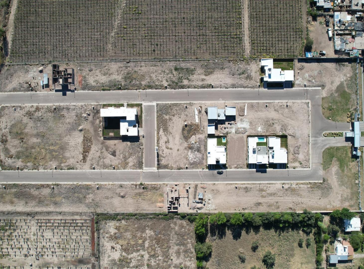 Foto de Lotes en venta en Junín, Mendoza, imagen 3