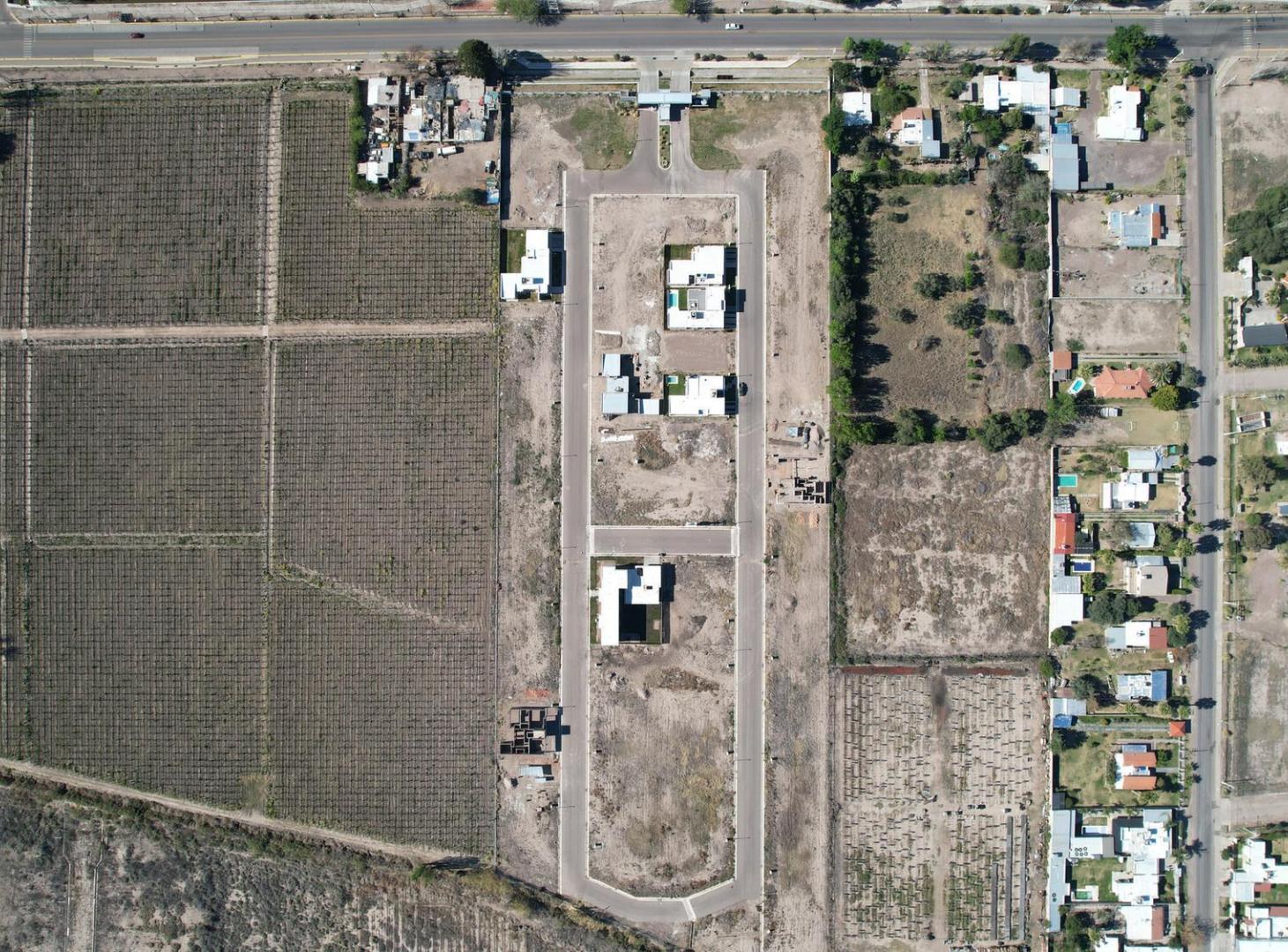 Foto de Lotes en venta en Junín, Mendoza, imagen 4