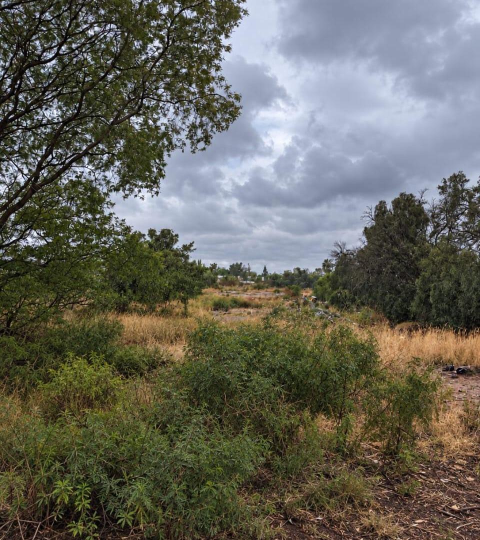 Foto de VENTA DE GRAN TERRENO VILLA NUEVA GUAYMALLEN, imagen 4