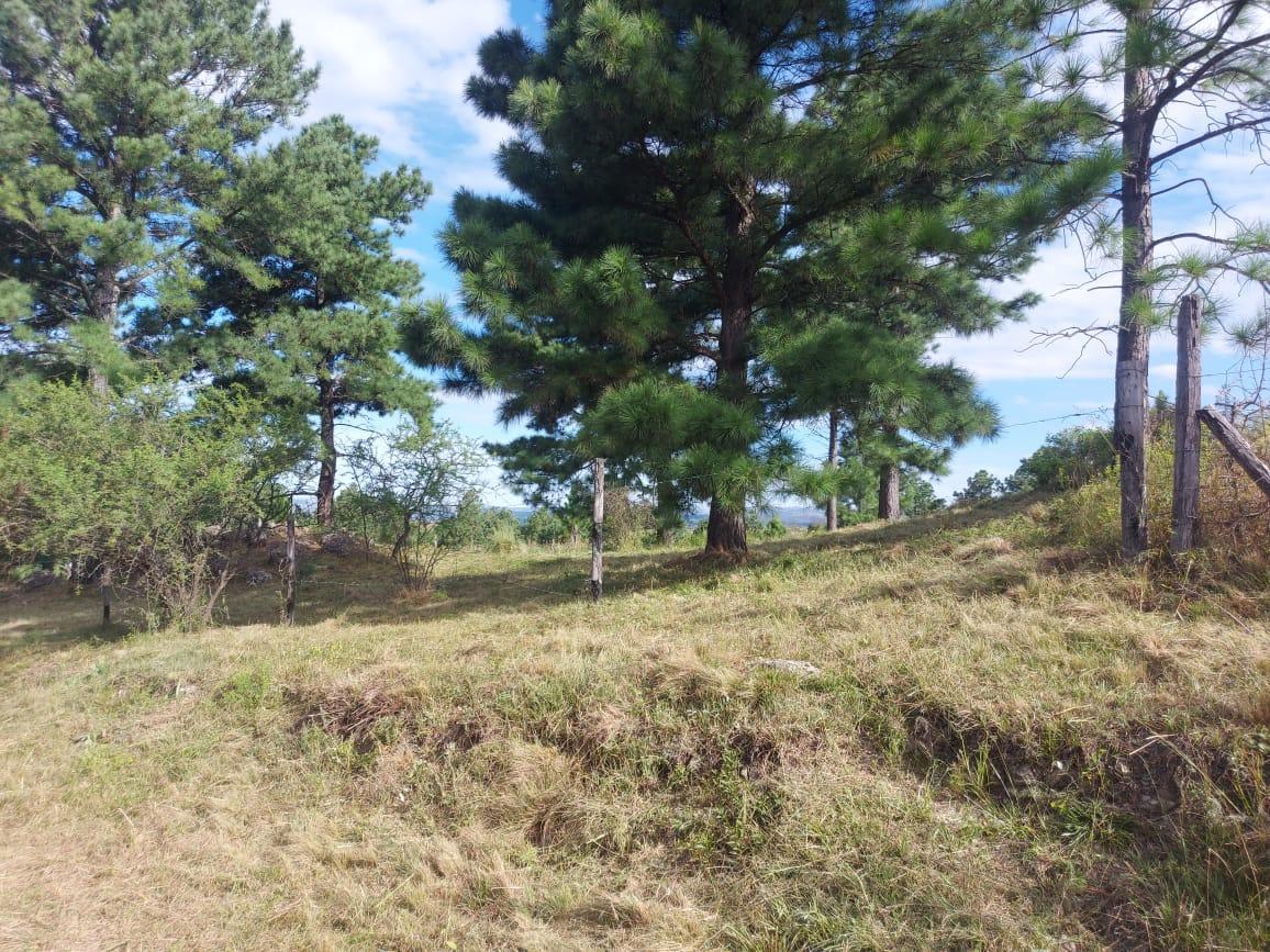 Excelente Oportunidad! Terreno de 11.082 m² C/agua. Escrituración Inmediata! 2