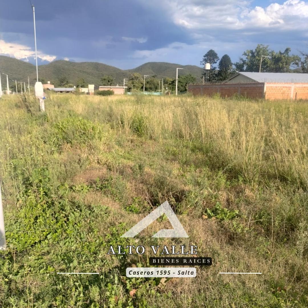 Terreno en Cerrillos 2