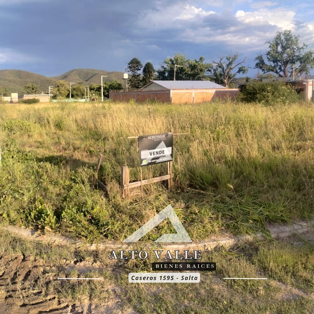 Terreno en Cerrillos 4
