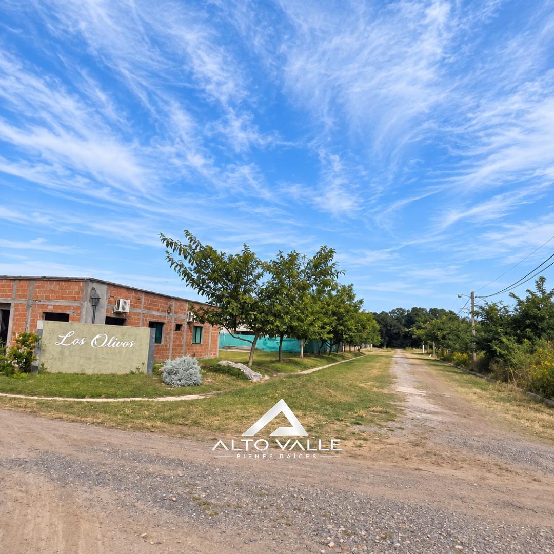 Foto de TERRENO EN ESQUINA EN VENTA – LOS OLIVOS- ZONA SUR, imagen 3