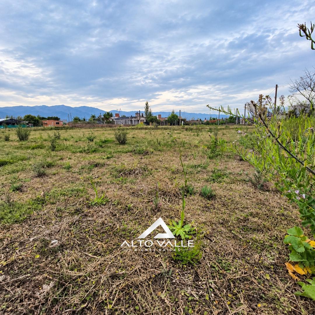Foto de TERRENO EN ESQUINA EN VENTA – LOS OLIVOS- ZONA SUR, imagen 4