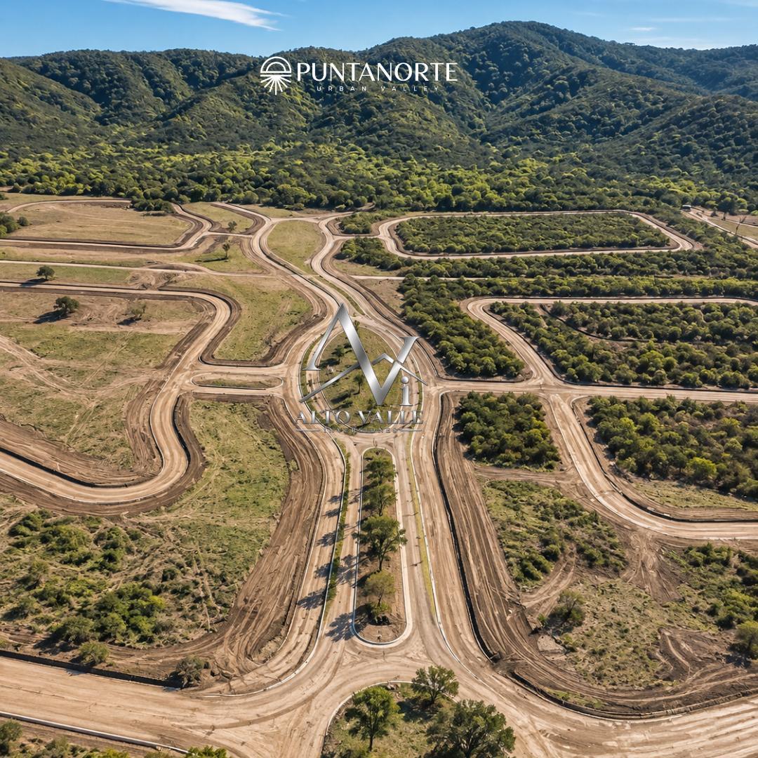 Foto de LOTES EN LAS ABRAS, imagen 5