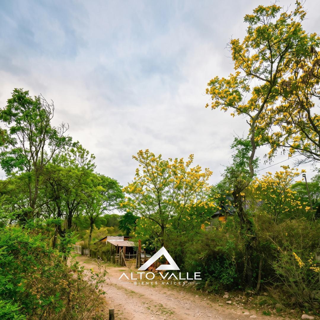 Foto de TERRENO EN VENTA CON MEJORAS – VAQUEROS, imagen 4
