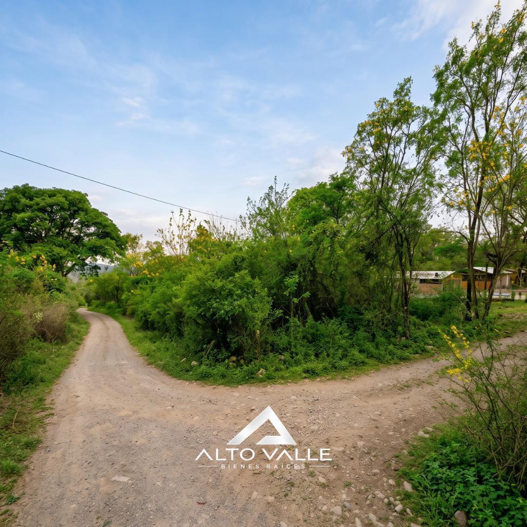 Foto de TERRENO EN VENTA CON MEJORAS – VAQUEROS, imagen 3
