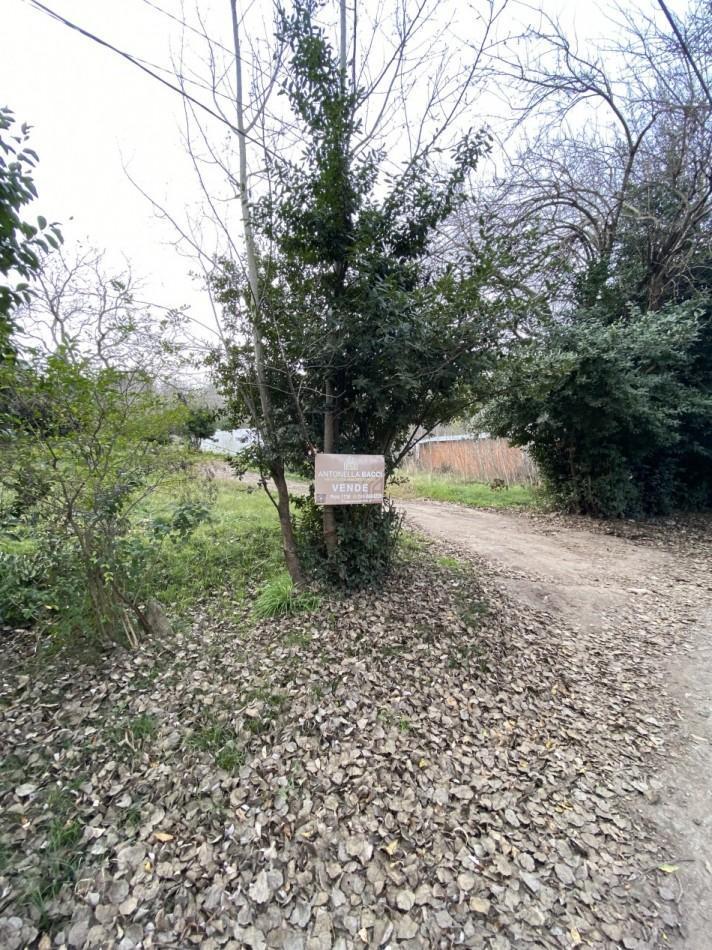 Lote Santa Maria de Oro 5