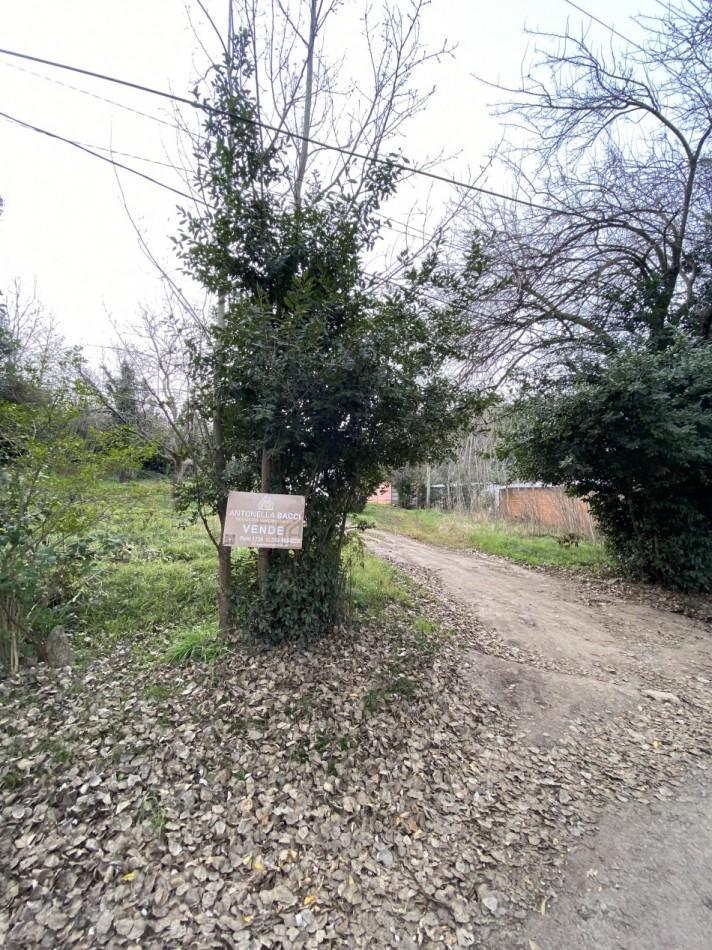 Lote Santa Maria de Oro 1
