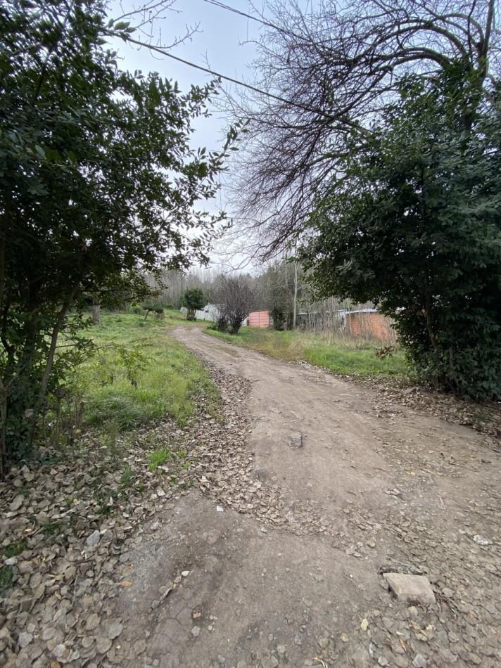Lote Santa Maria de Oro 4