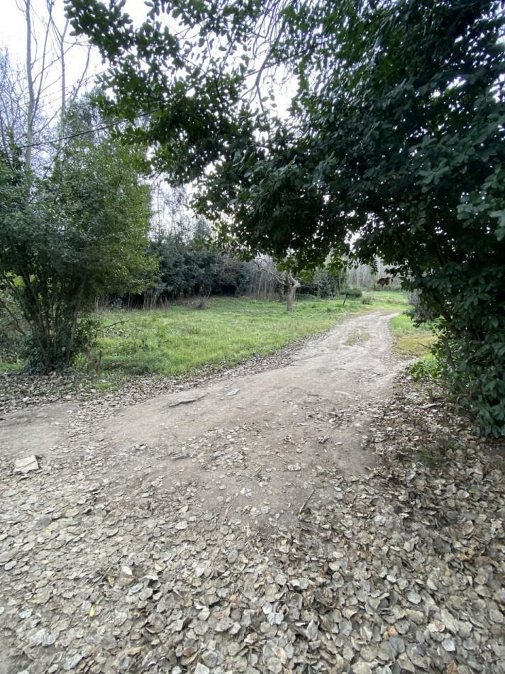 Lote Santa Maria de Oro 3