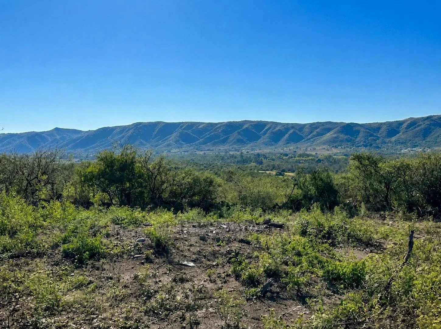 Vendo Lotes en Sierras de Córdoba con Vistas Panorámicas 4