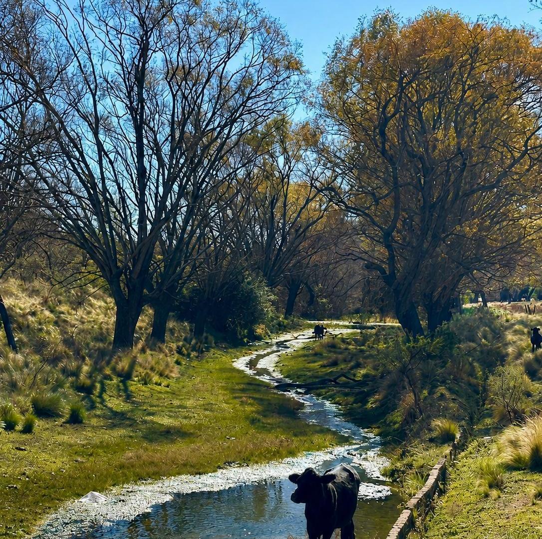 Foto de Vendo Lotes en Sierras de Córdoba con Vistas Panorámicas, imagen 5