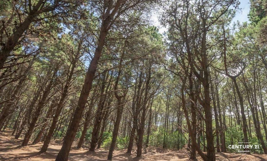 Lote en Costa del Este en Venta - Oportunidad 1