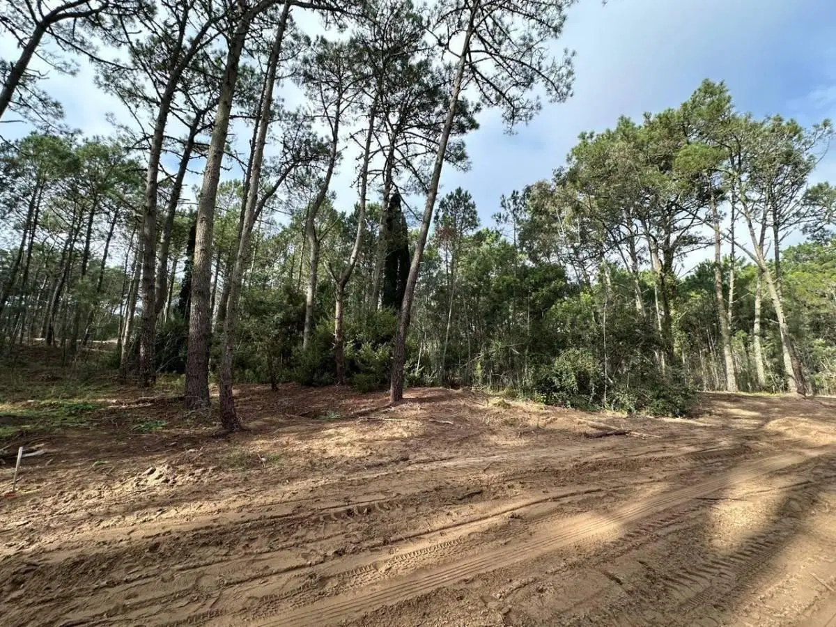 Lote en Cariló Pinamar en Venta 2