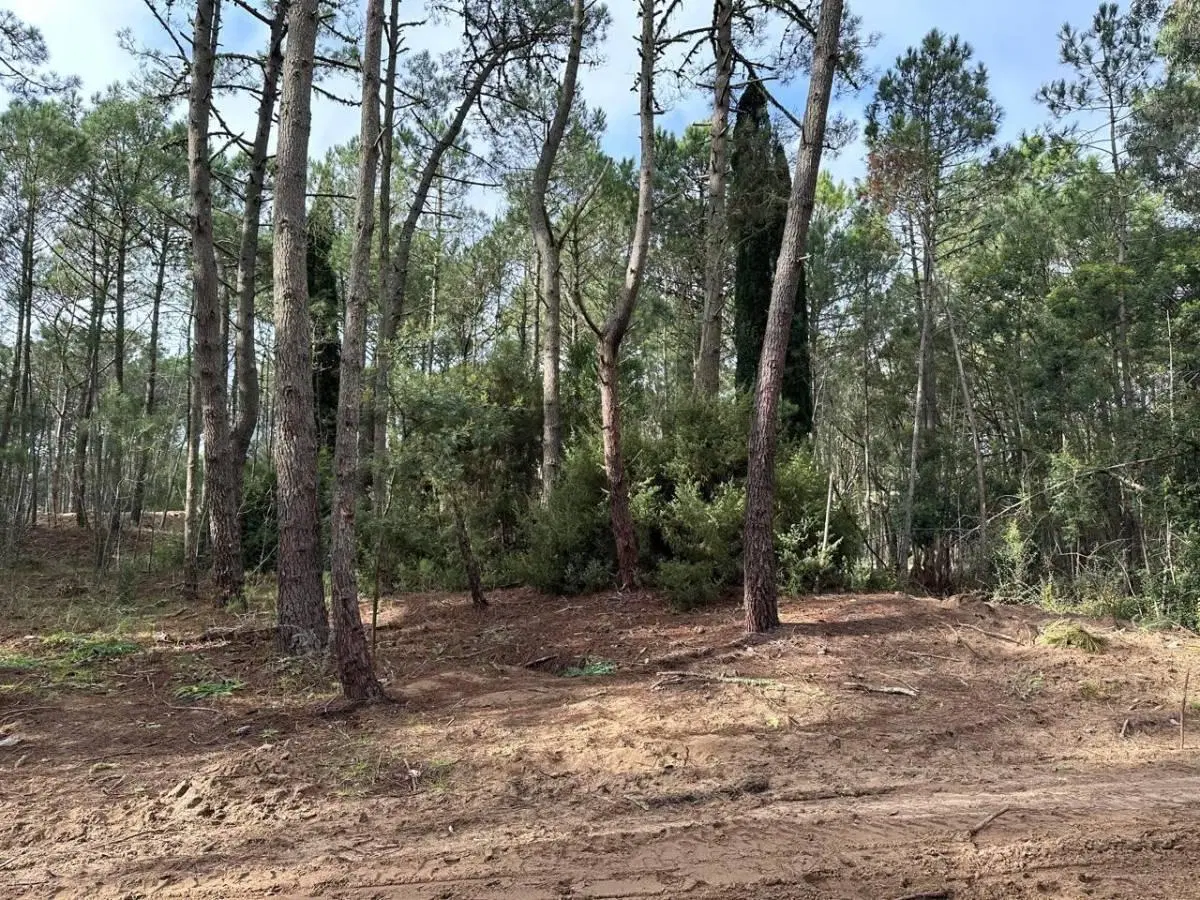 Lote en Cariló Pinamar en Venta 4