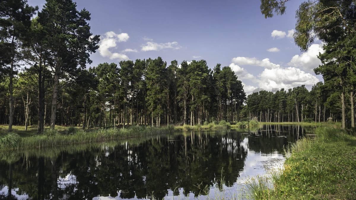 Terreno en VILLA ROBLES