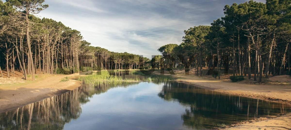 Foto de Terreno en Villarobles, imagen 4