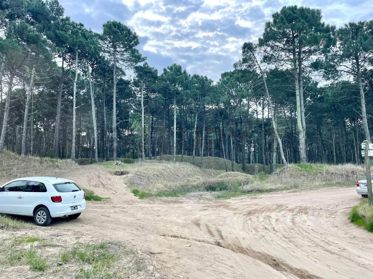 Foto de Terreno en Pinamar, imagen 4