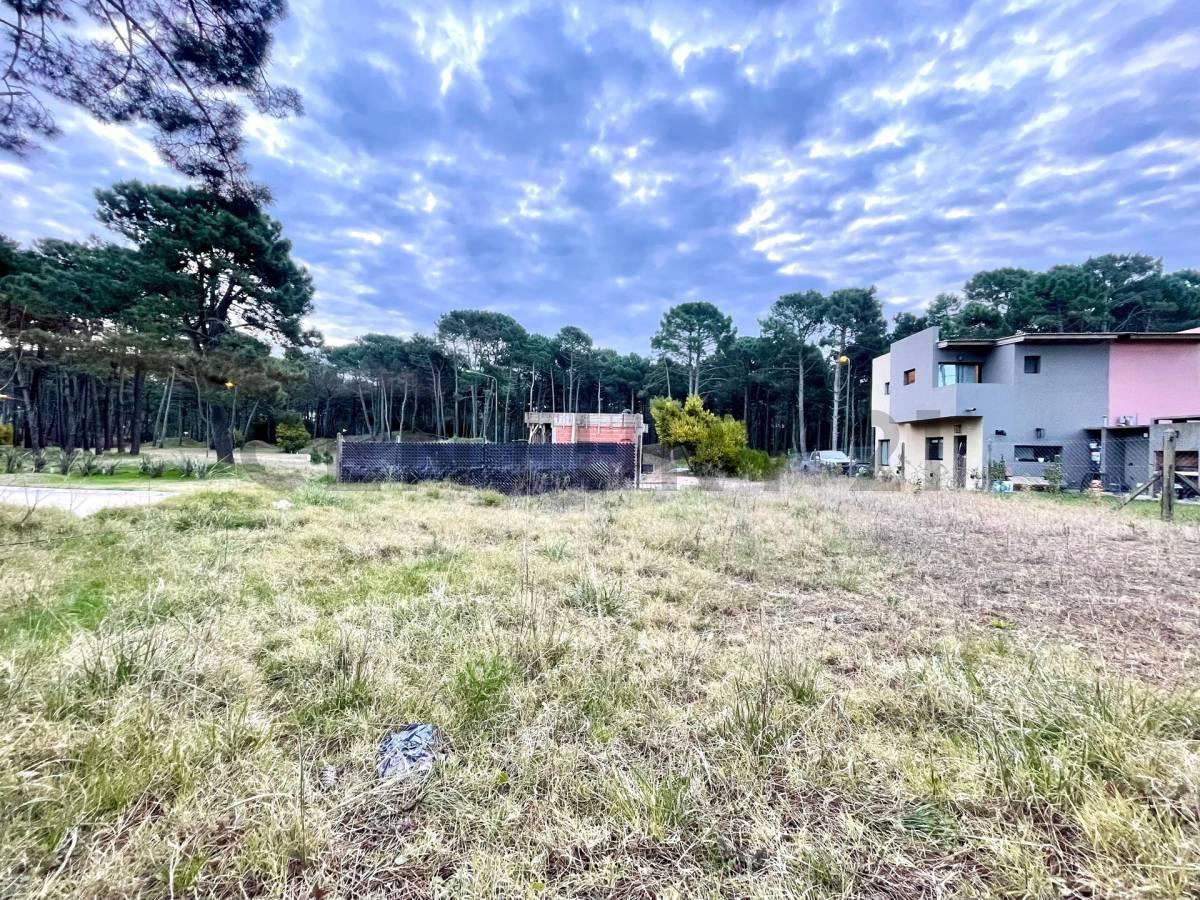 Foto de Terreno en Pinamar, imagen 5