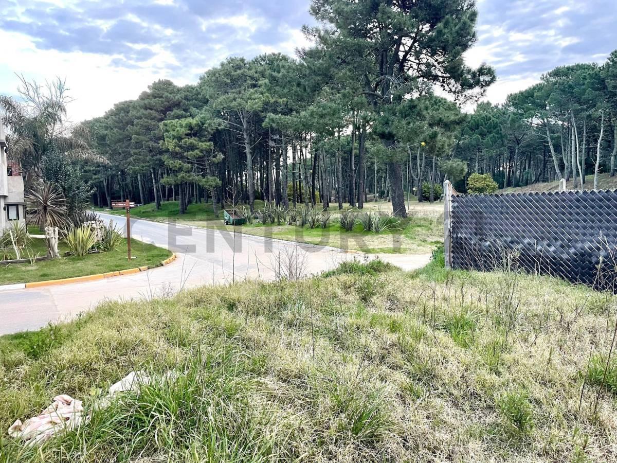 Foto de Terreno en Pinamar, imagen 1