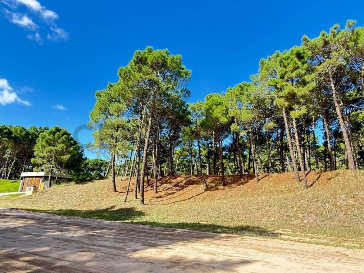 Foto de Terreno en Barrio Los Pioneros Pinamar, imagen 5