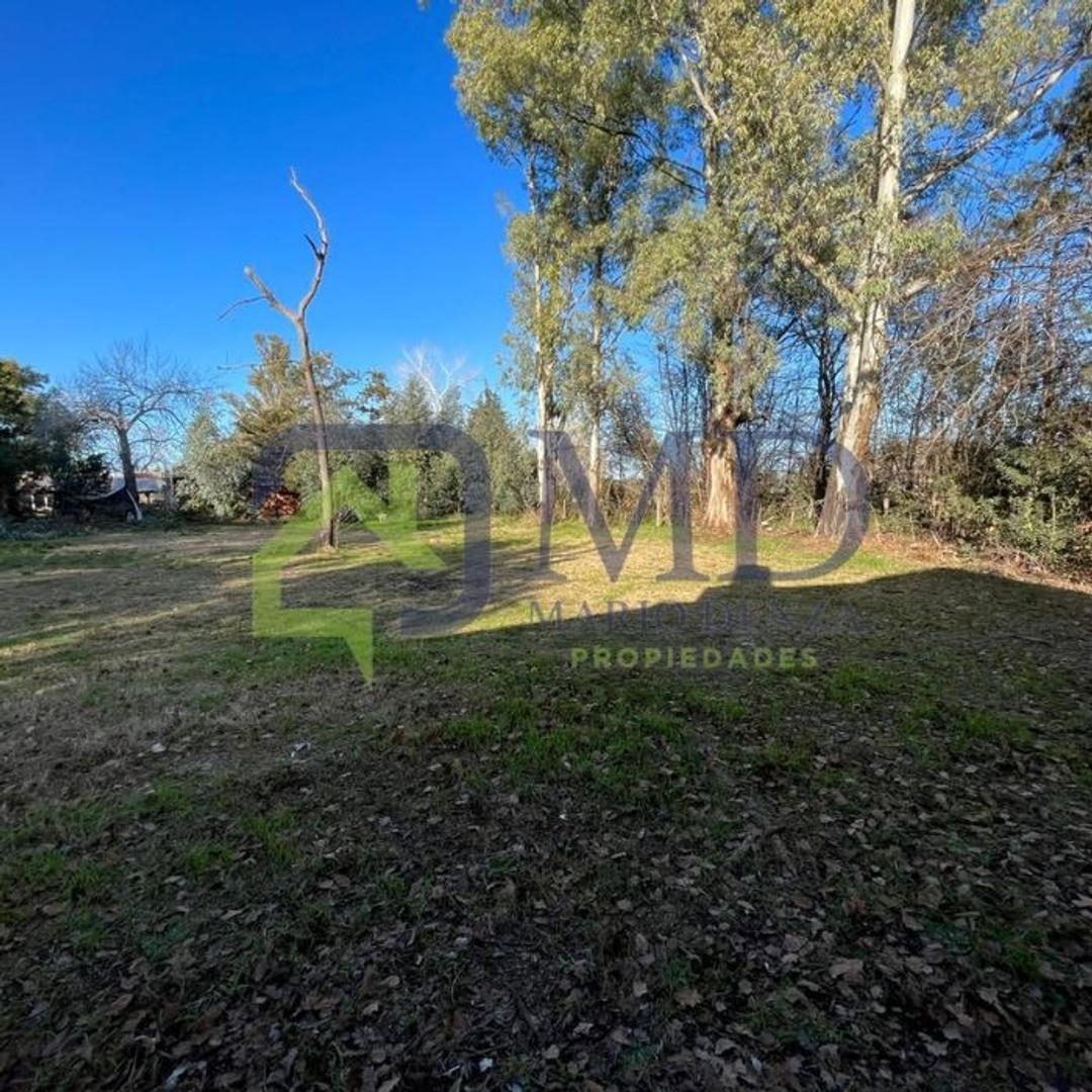 Quinta con 4.000 m² de Terreno con Arboleda 2
