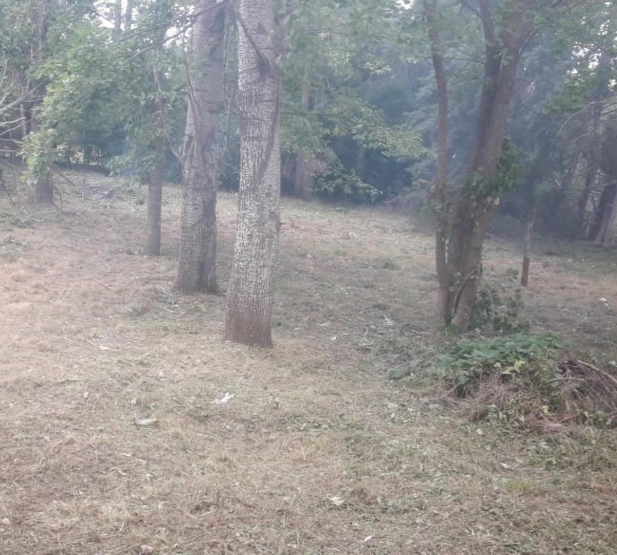 Foto de Casa para terminar y gran terreno, imagen 5