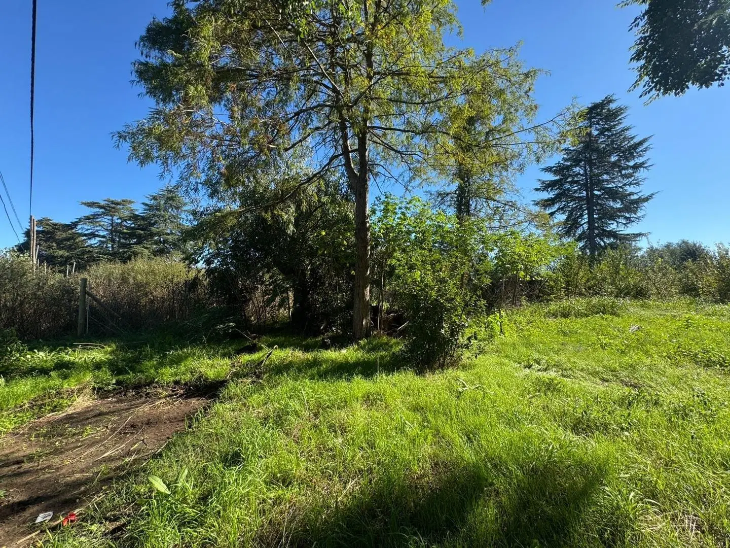 Terreno en Acceso sur entre calles 138 y 142 4