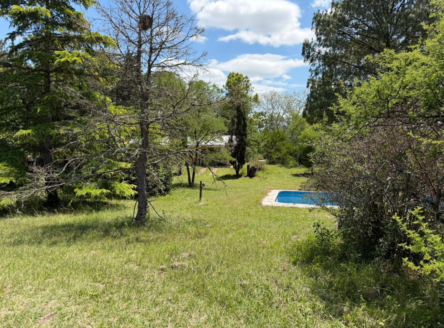 Foto de Venta Campo con casa Falda del Ccarmen, imagen 5