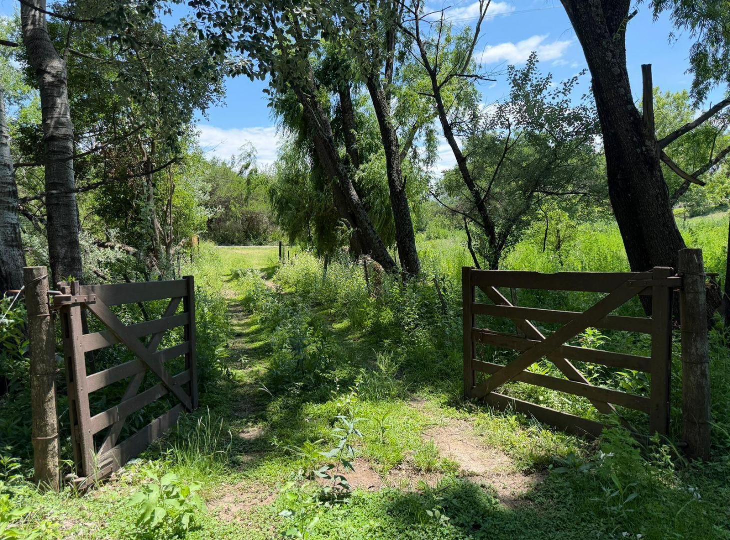 Foto de Venta Campo con casa Falda del Ccarmen, imagen 4