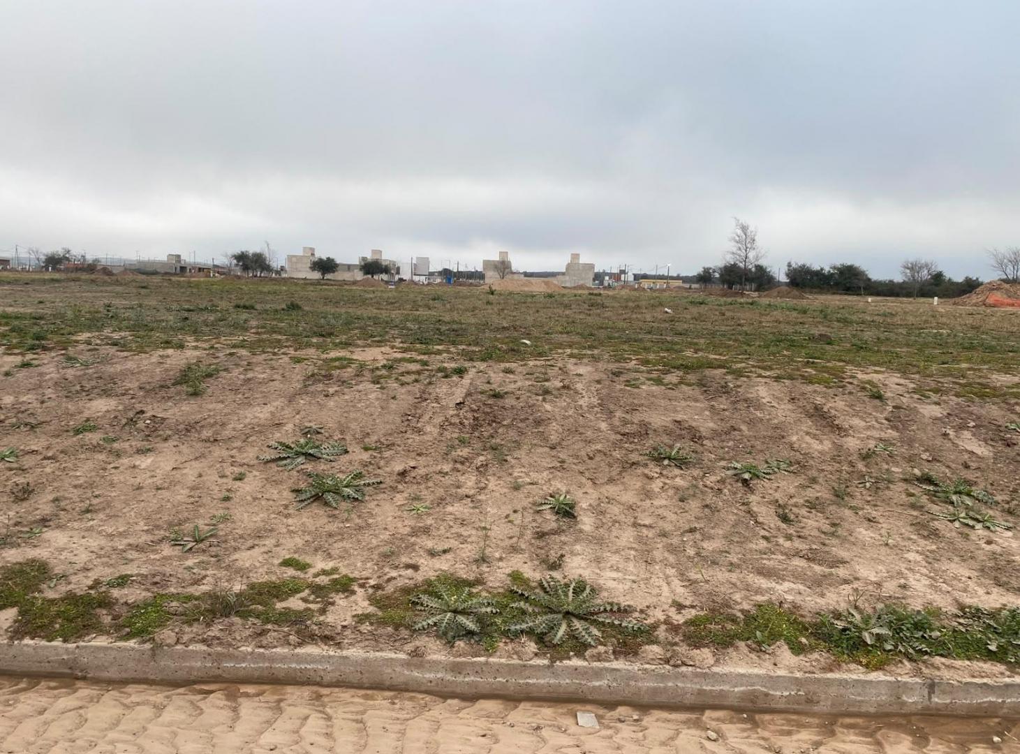 Foto de Terreno en Docta 250m2, imagen 2