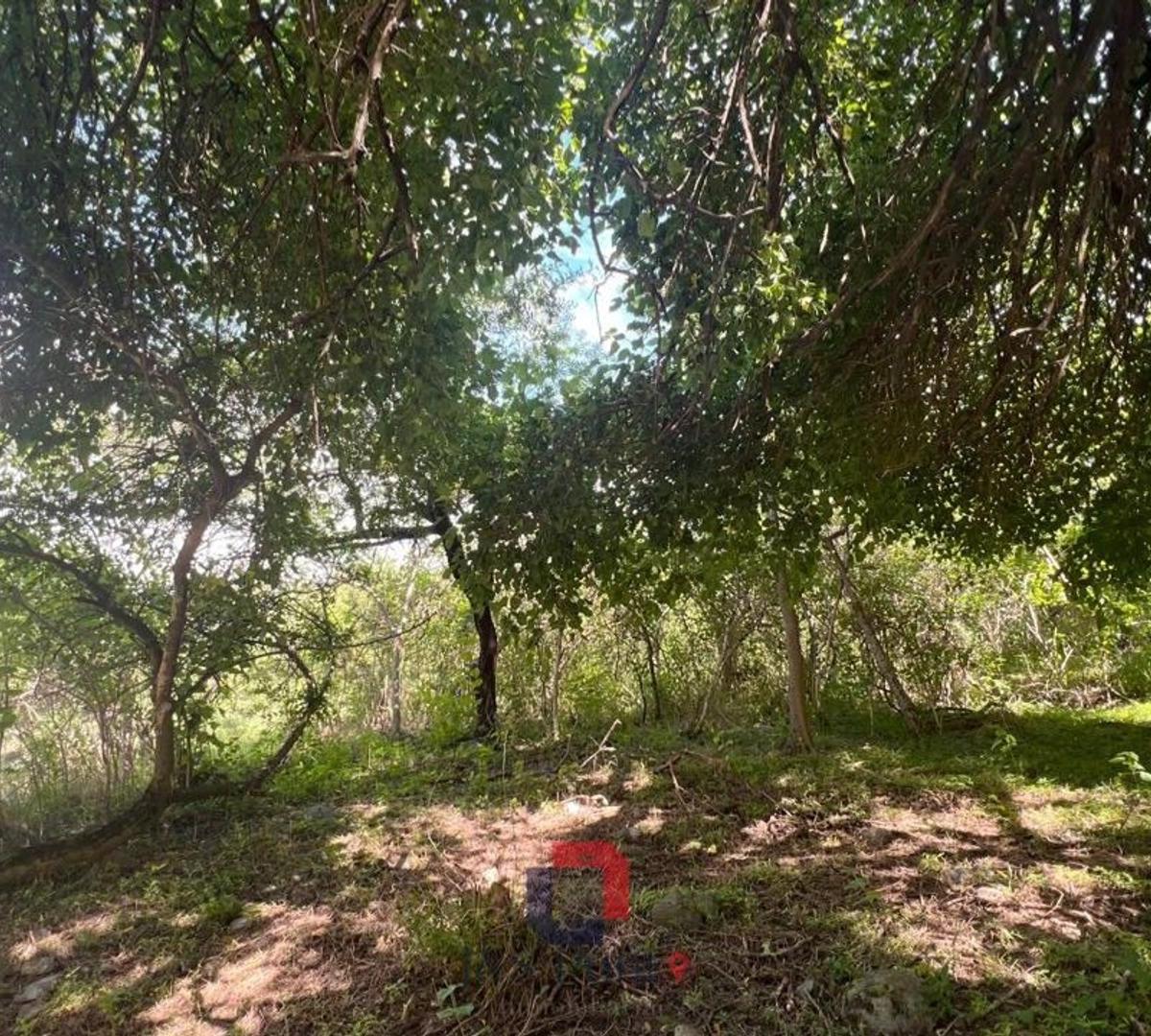 Lote en Corral de Barrancas 4