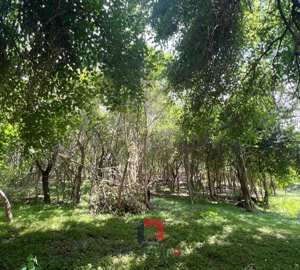 Lote en Corral de Barrancas 4