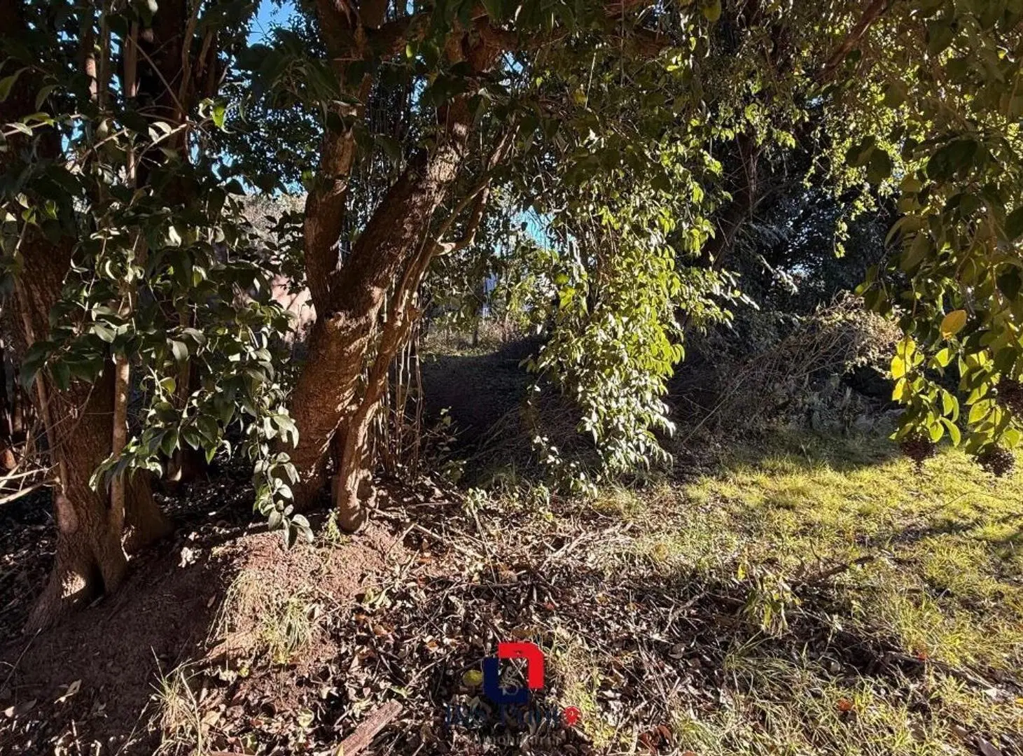Lote en Villa Catalina 3