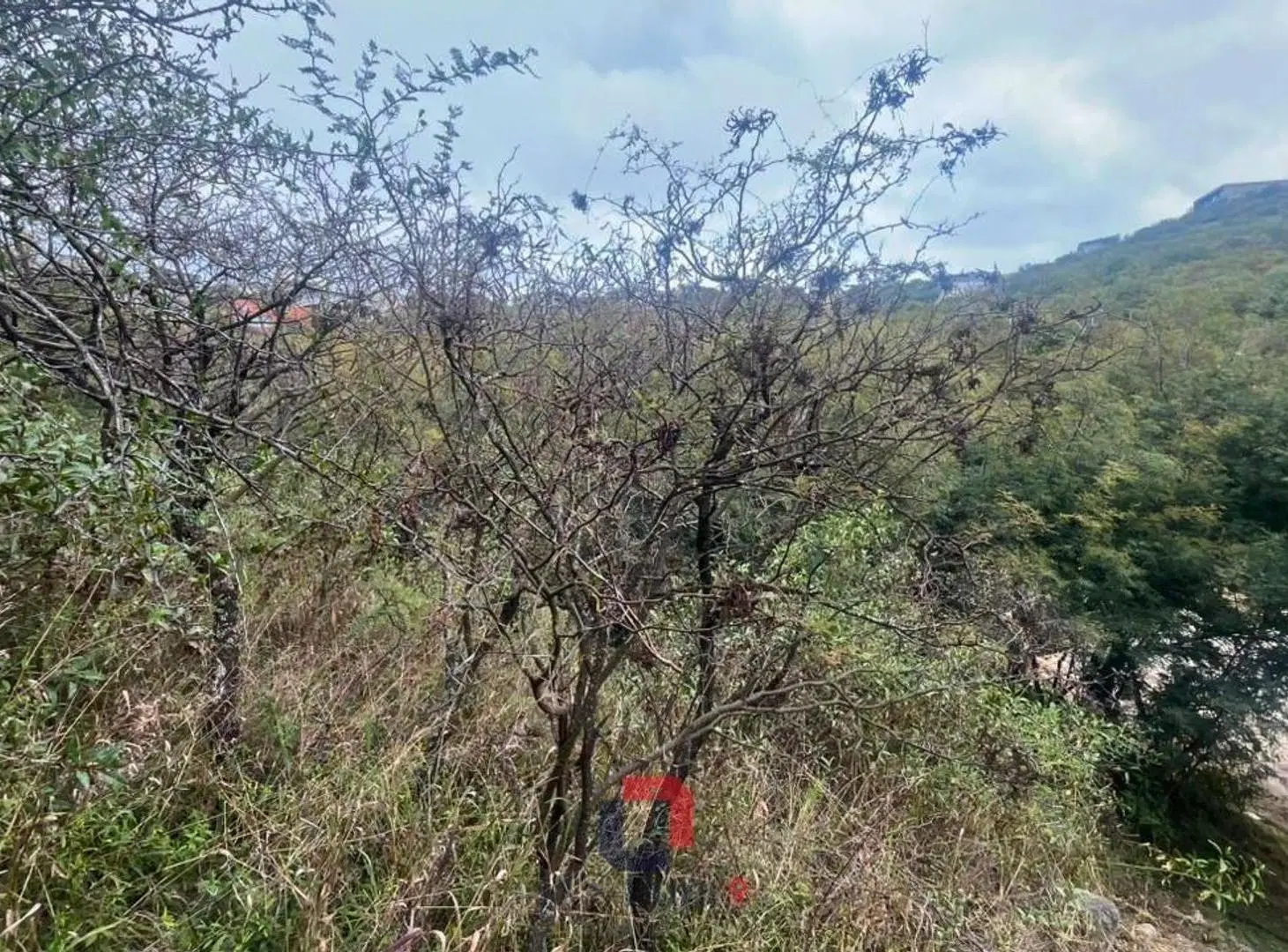 Lote La Deseada La Calera 4